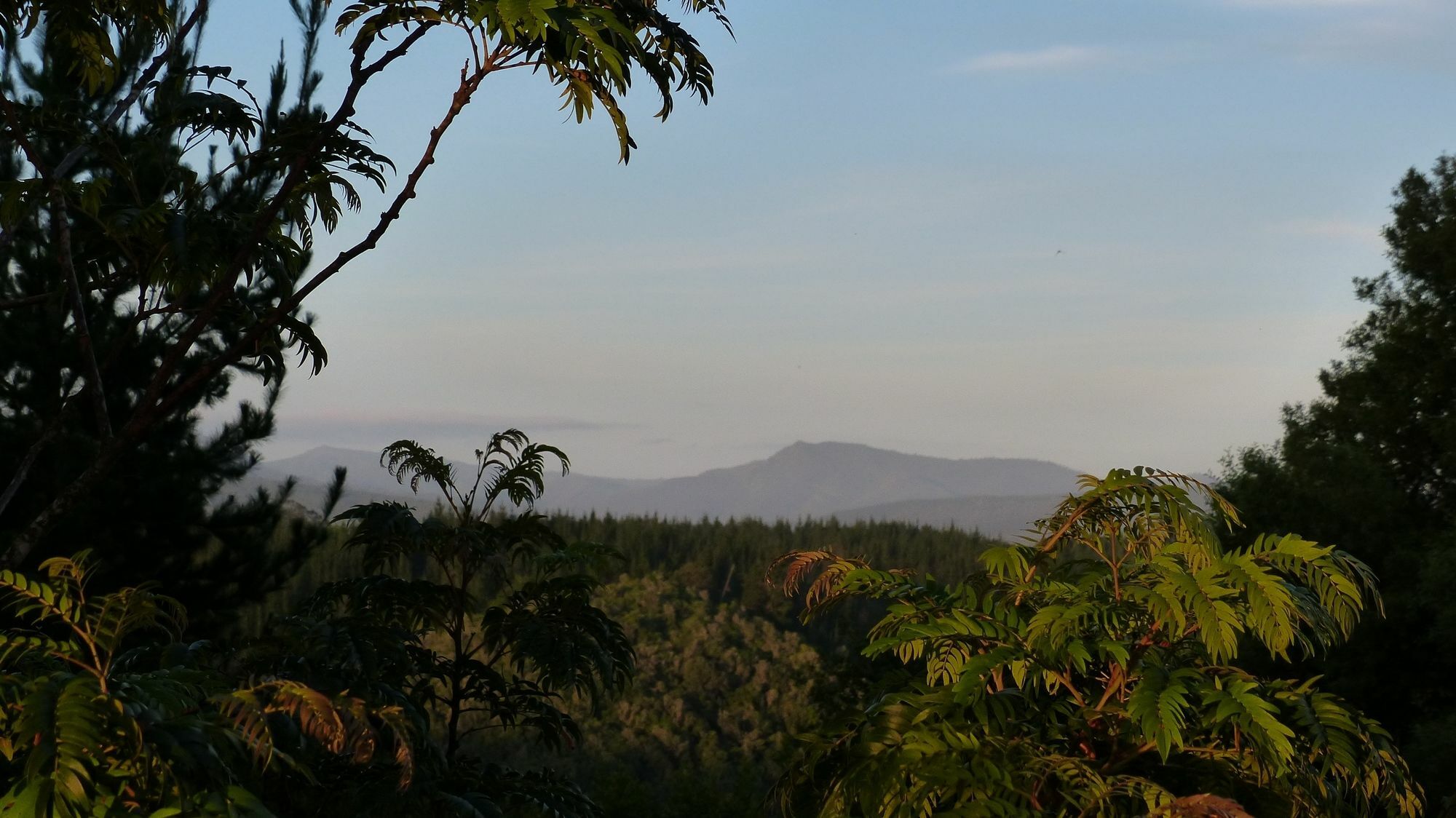 Woodlands Self Catering Hotel Knysna Kültér fotó