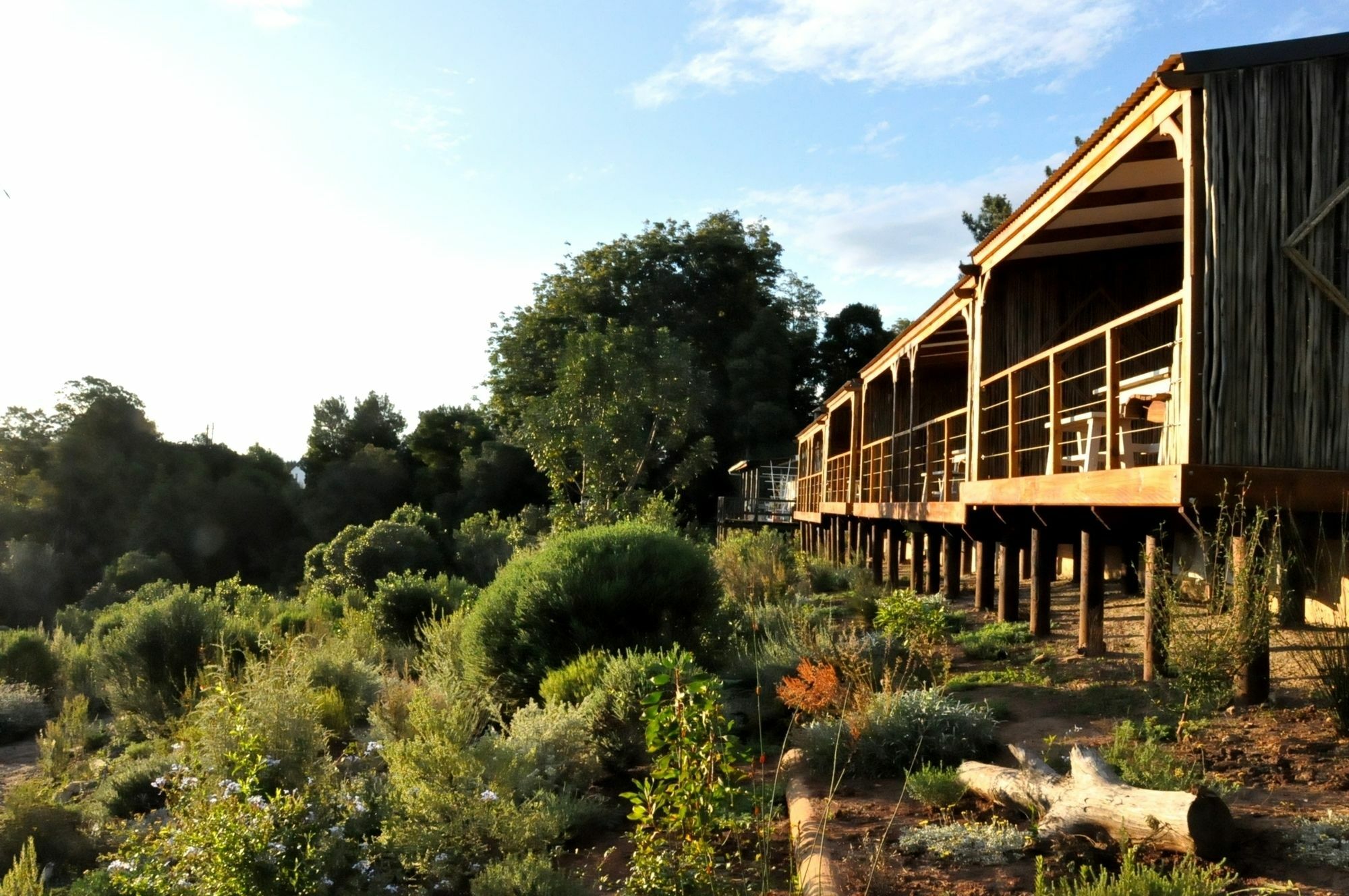 Woodlands Self Catering Hotel Knysna Kültér fotó